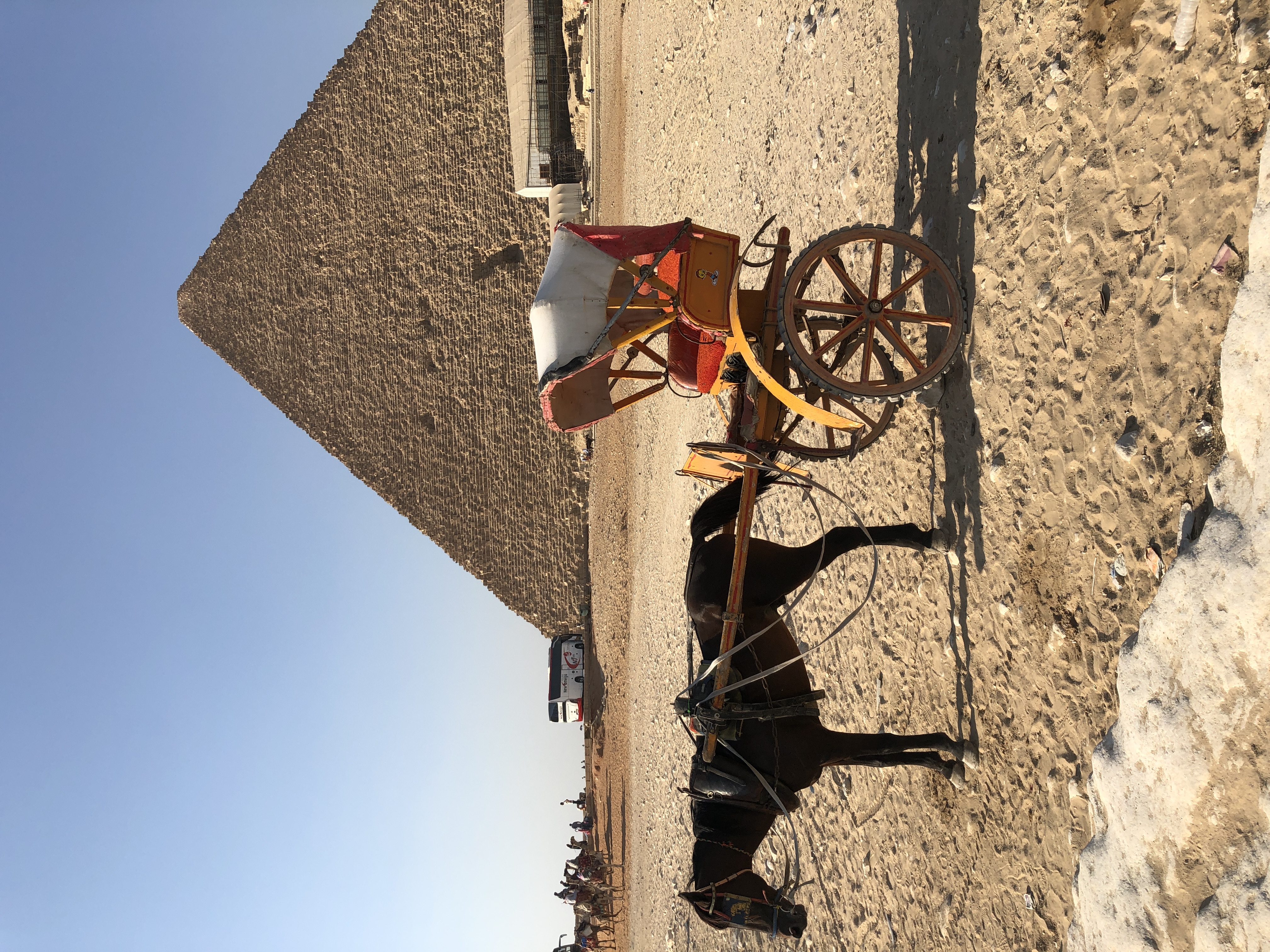 Pyramids in Egypt
