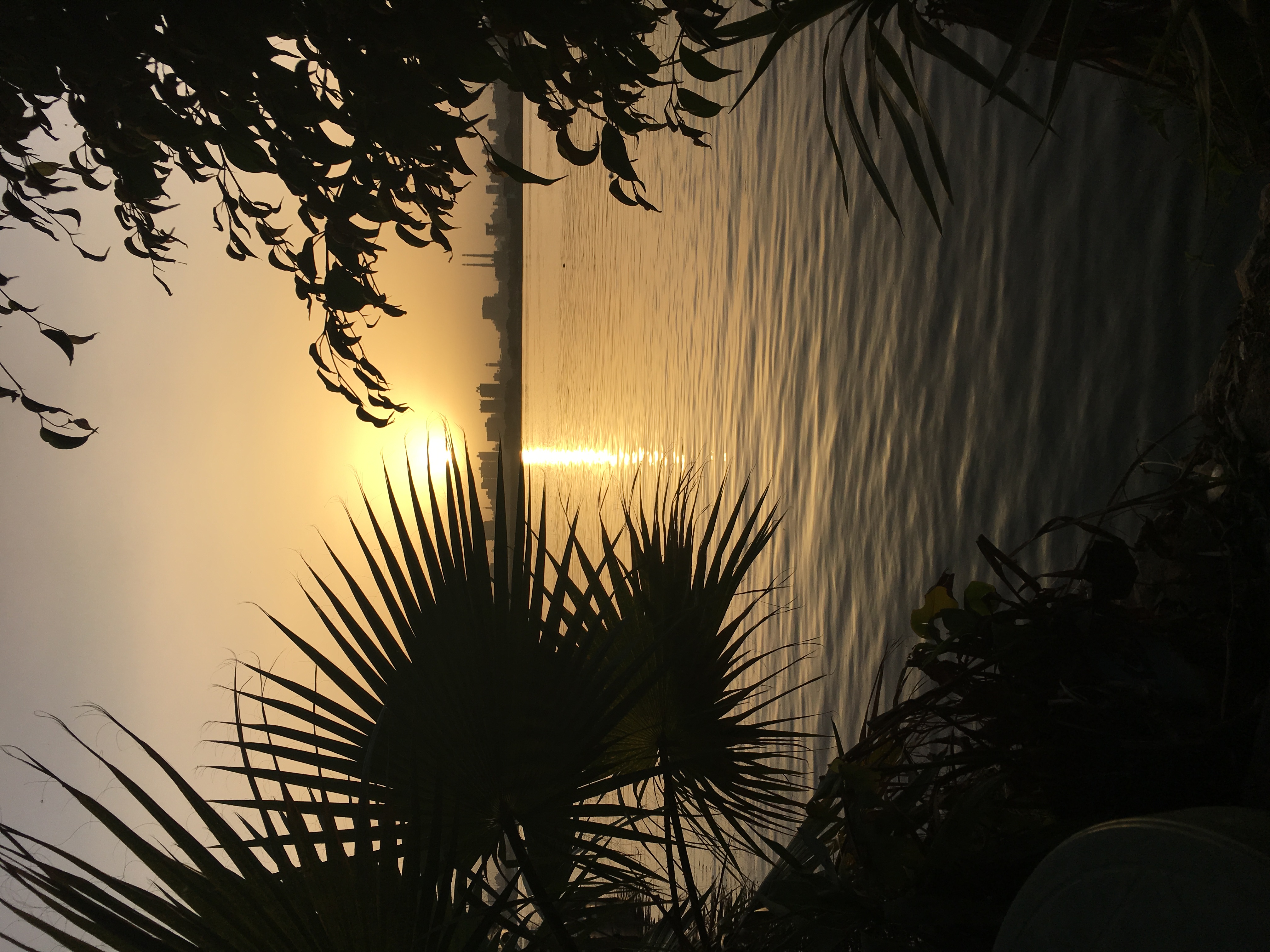 Nile River at sunset